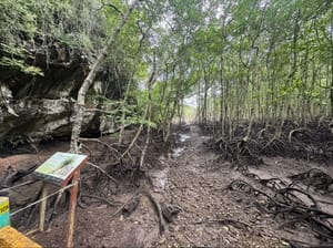 Langkawi: Schoonheid met een Schaduwkant